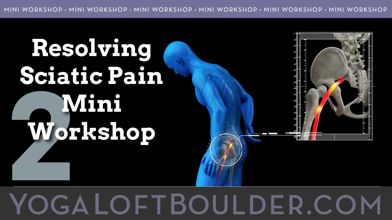 Avita Yoga Mini Workshop Resolving Sciatic Pain Part 2